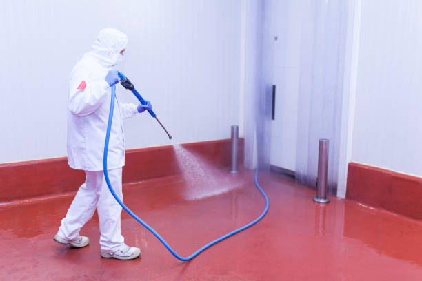 Best Heavy Equipment Washing  in Sinking Spring, PA