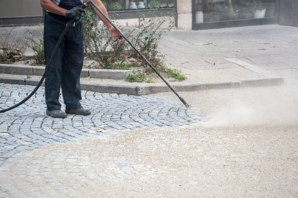 Pre-Holiday Cleaning in Sinking Spring, PA
